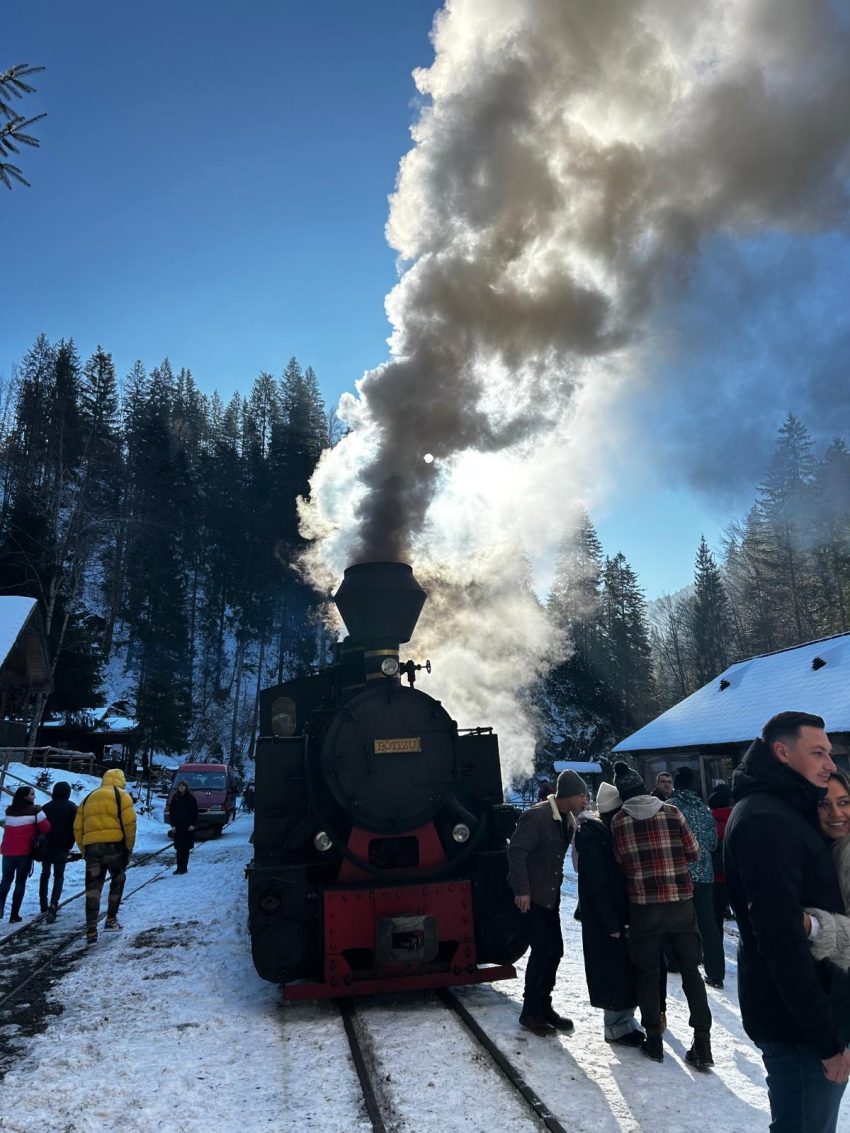 Mocănița Maramureș