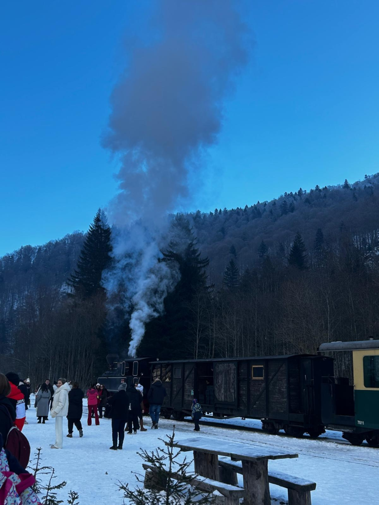 Mocănița Maramureș